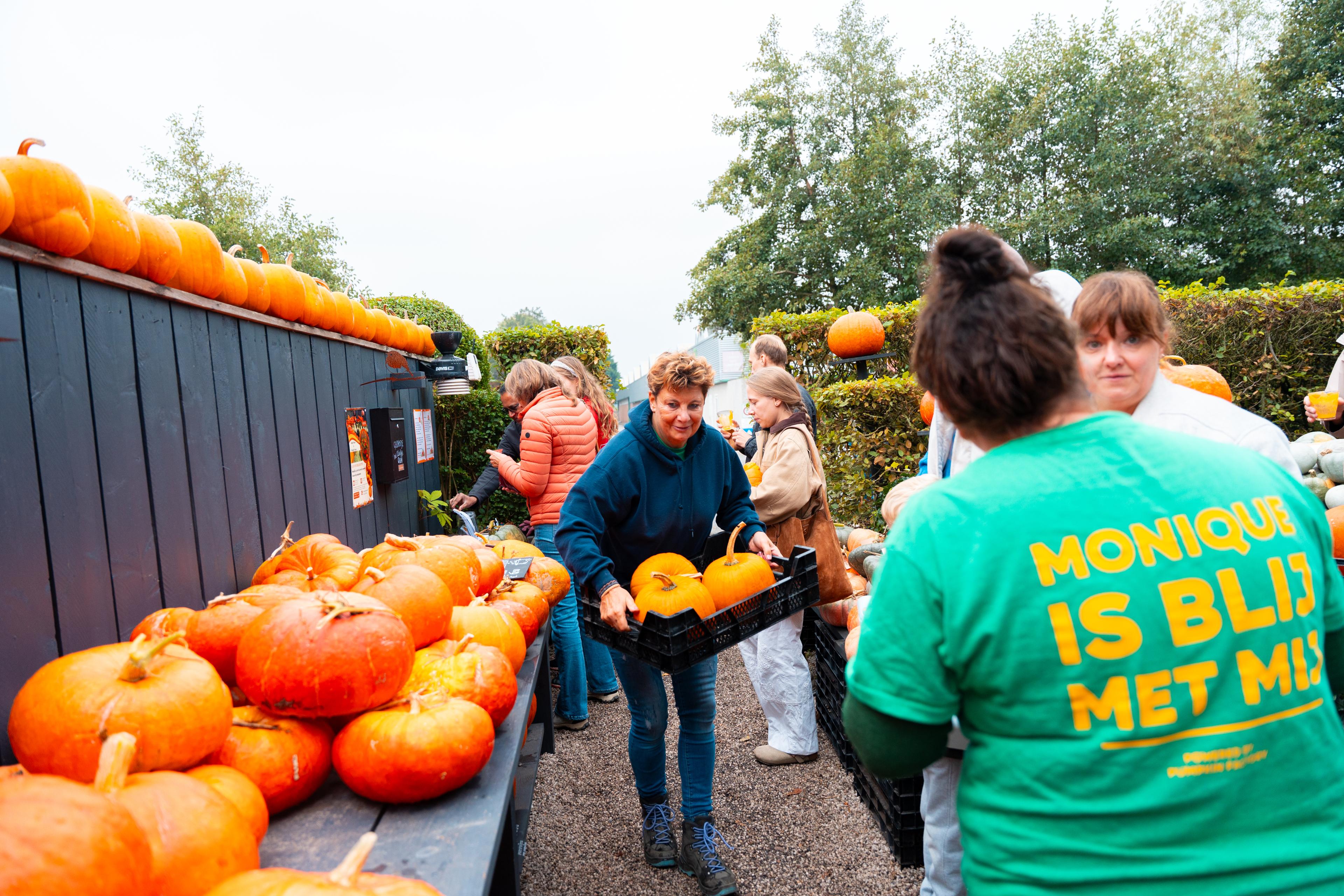 Visitors among the pumpkins
